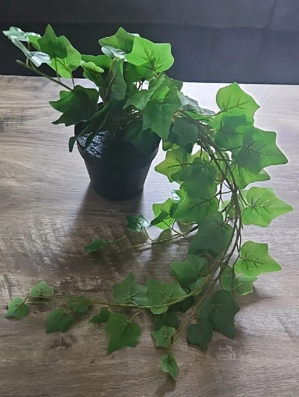 Artificial Green Succulent and Ivy Faux Floral Arrangement